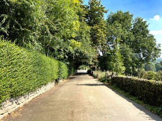 View along, Woodlands Drive, with trees and hedgerow, on a sunny day in Rawdon, Leeds, UK