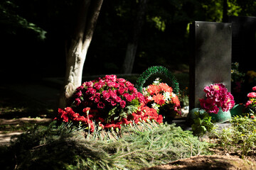 Flowers on the grave. Carnations on the memorial. Tomb of the Unknown Soldier.
