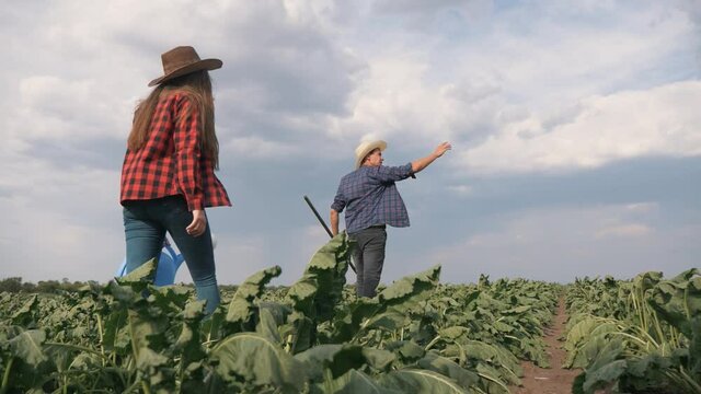 Agriculture. Farmer family in a green field. Organic food concept. Agriculture and business. Family of farmer inspecting the harvest. agriculture organic food. Farmer family business concept.