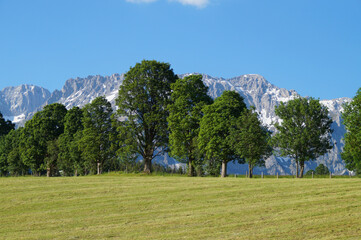Fototapeta na wymiar beautiful alpine landscape of the Dachstein region in Austria 