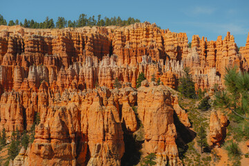 Red rock sandstone spires  in Bryce Canyon National Park, Utah