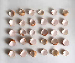 group of broken eggs face up on white background