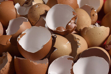 close up of texture of eggshell