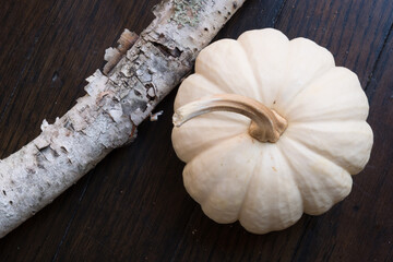 Still life of white pumpkin on a dark wood floor