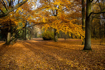 Jesień w parku © Adam Skrzydlewski