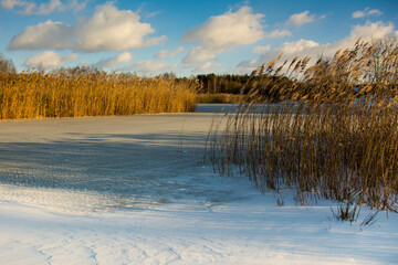 Zima na jeziorkiem w uroczysku