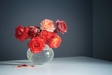 red  roses in white vase on gray background