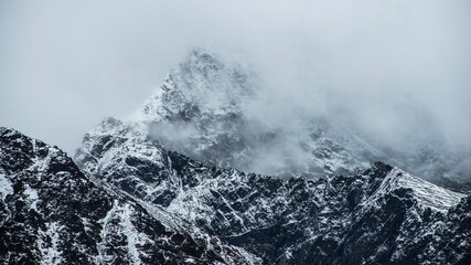 Obraz premium black and white