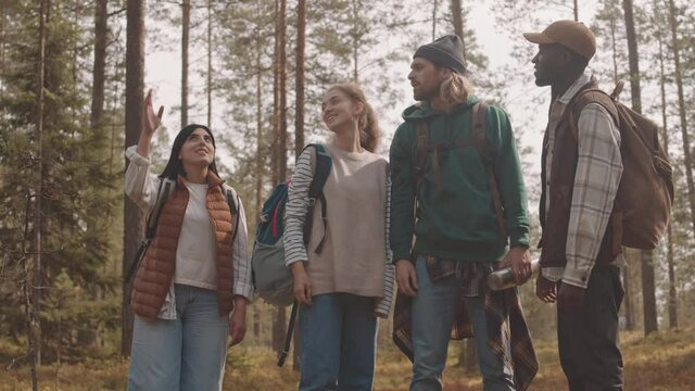 Slowmo medium shot of four young adults with backpacks having conversation while looking up, standing in middle of empty summer forest during camping or hiking trip