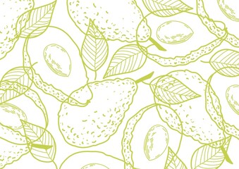 Avocado trendy background with. Fresh avocado hand draw seamless pattern with. Natural and healthy nutrition. Organic food. Good for product packaging, promo poster or flyer - obrazy, fototapety, plakaty