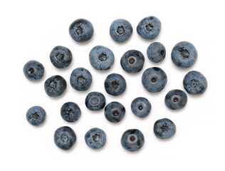 fresh blueberry berry