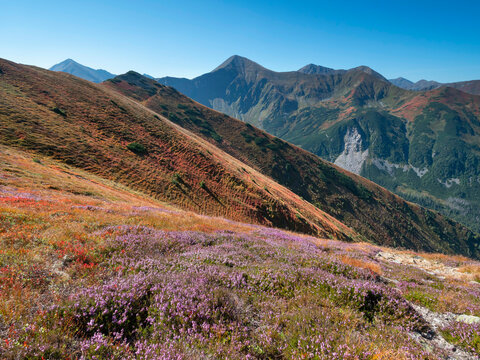 Tatry Zachodnie - jesień - widok z G&oacute;ry Ornak na Staroroboc&hellip;