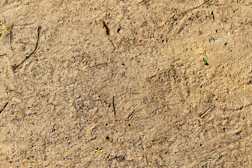 yellow sand soil close up background