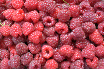 Background with raspberries