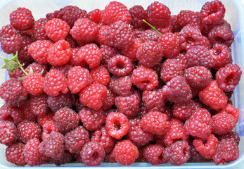 Background with raspberries