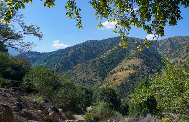 Obraz premium The mountains are blue skies and trees