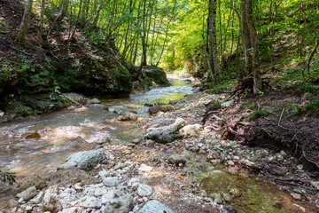 Mountain rivers originating high in the mountains, a journey through the canyon of the river on a sunny summer day, under the canopy of the forest, not well-traveled tourist routes.