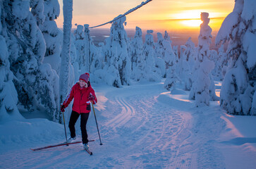 Woman cross country skiing in Lapland in Finland
