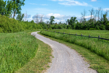 Fototapeta na wymiar Gravel path beside a grassy field in the countryside