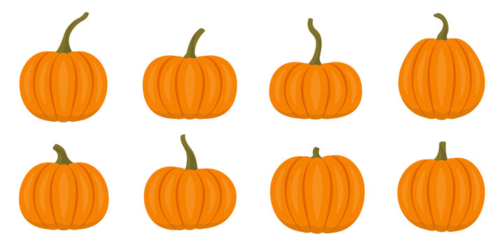 Pumpkin icon set for Halloween or Thanksgiving design. Orange autumn or fall food. Vector illustration.