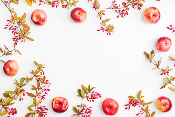 Flat lay frame with colorful autumn leaves and red berries on a white background