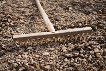 Old metal rake on ground in the garden close-up. Gardening tool.