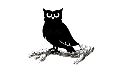 Creative owl on white background - vector illustration. Bird emblem design on white background. Animals