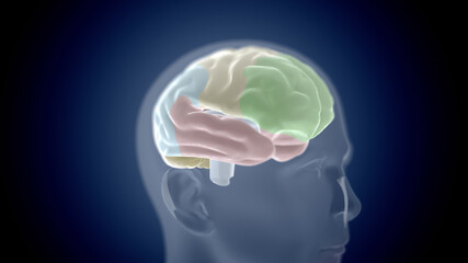 3d illustration of human head with brain hologram.