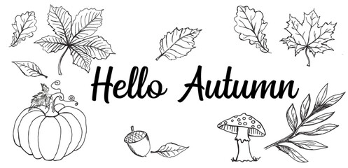 jesień, hello autumn, wiewiórka, łąki, pola, wieś, wioski, pejarztapeta, wzór, deseń, ilustracja, projekt, sztuka, jesienią, element, dekoracja, losowanie, drzew, set, tekstura, pora roku, plik wektor