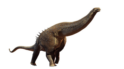 Alamosaurus, dinosaur from the Late Cretaceous period isolated on white background © dottedyeti