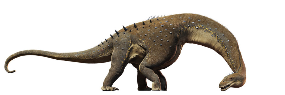 Fototapeta Alamosaurus, dinosaur from the Late Cretaceous period isolated on white background