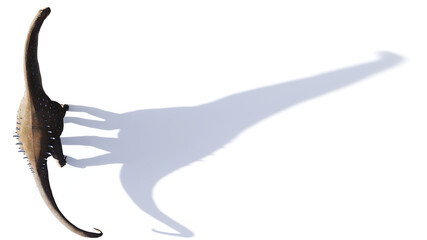 Alamosaurus, dinosaur from the Late Cretaceous period isolated on white background © dottedyeti