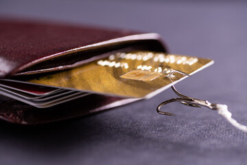 A fishing rod hook snagged a credit card in my wallet. Theft of data from credit cards. Hacker...