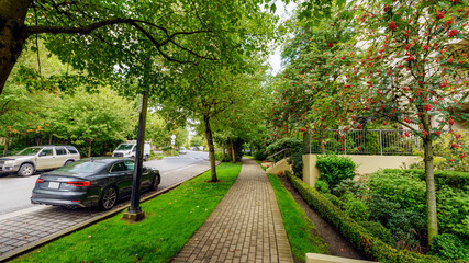 Well-treed, nicely-shaded street in Univercity Highlands after light rain.