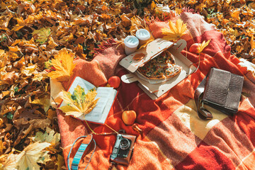 blanket with book and old retro camera on the ground in autumn public park