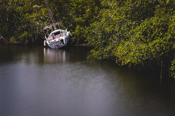 sailboat run a ground in the mangroves taken as a long exposure © Joe Ciciless