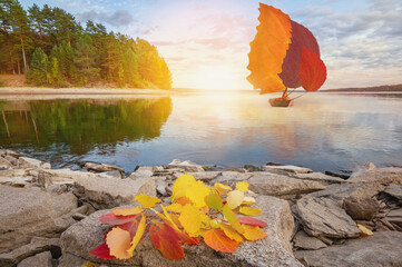 Autumn landscape of the river with a sailboat and sails made of autumn leaves.