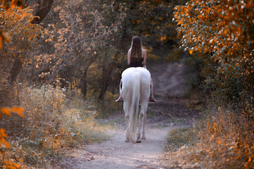 Fototapeta na wymiar Image of a girl riding a horse in a forest during fall at sunset