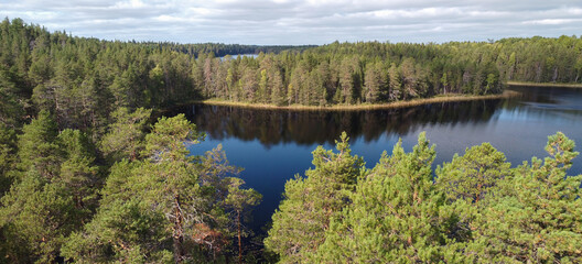 Aerial panorama with a beautiful forest lake. The system of Siya lakes, Arkhangelsk region, Russia.