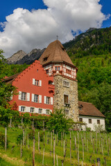 Fototapeta na wymiar Country of Liechtenstein, City of Vaduz, The Red House, in German, Das Rote Haus, Europe