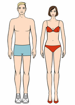 Figures of man and woman. The template for design