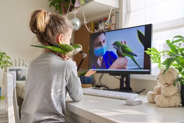 Girl and pet green parrot together at home, child watches video on computer
