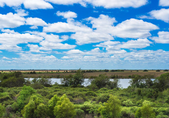 Obraz premium Trees,water and prairie