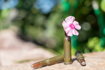 flower in the cartridge case from the machine