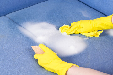 hands in rubber gloves remove the cleaning agent from the upholstered furniture with a rag