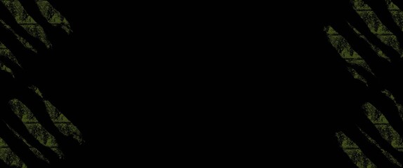 Obraz premium frame of grass