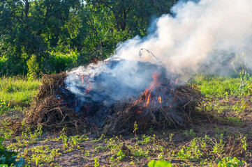 Fototapeta na wymiar Fire in the garden, weeds are burning after harvest. Garden maintenance in late summer or autumn