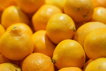 Obraz na płótnie Canvas Lots of bright oranges in supermarket