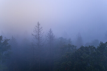 Waldstein im Fichtelgebirge in magischem Morgennebel
