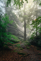 Waldstein im Fichtelgebirge in magischem Morgennebel